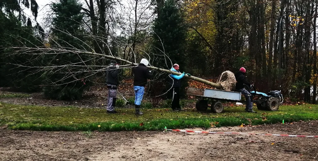 Rośliny na podłoże gliniaste